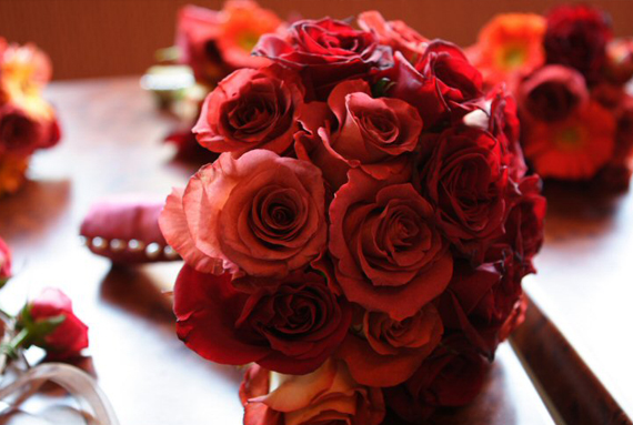 c6c0d179-c830-4e13-b522-46fb5e523fe0